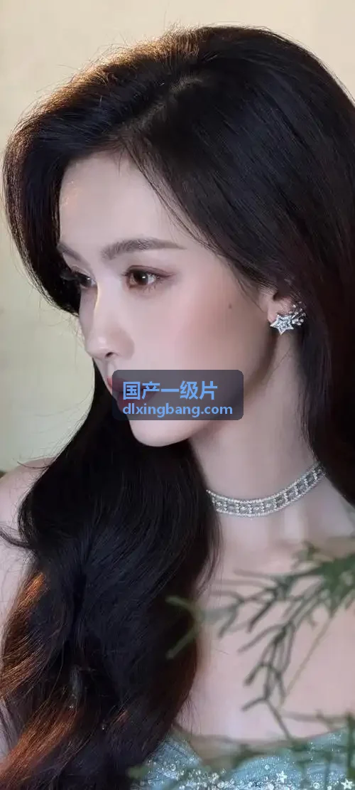国产一级片电影海报-迷雾回廊